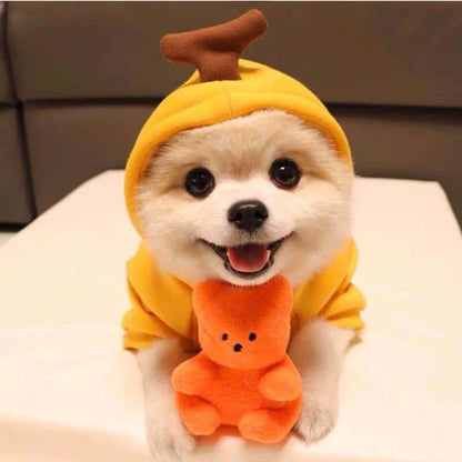 Cute Fruit Hoodies For Small Dogs and Cats